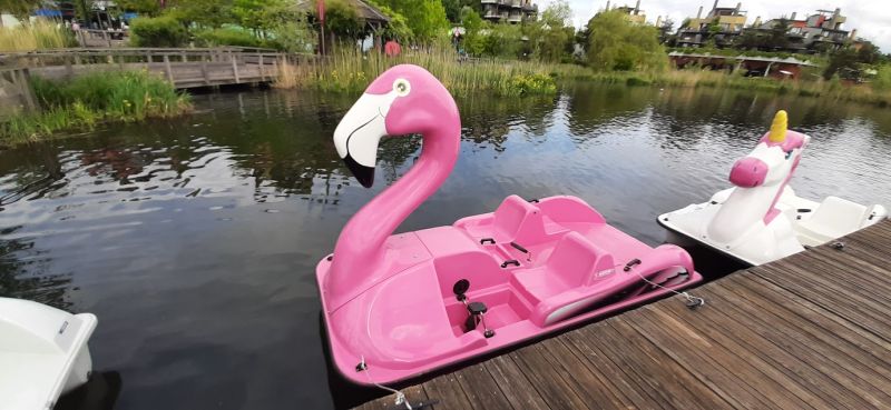 Bestand:Waterfietsen flamingo-vnp-01.jpg