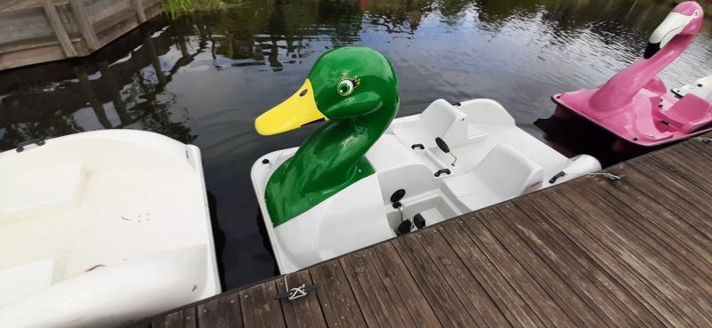 Bestand:Waterfietsen eend-vnp-01.jpg